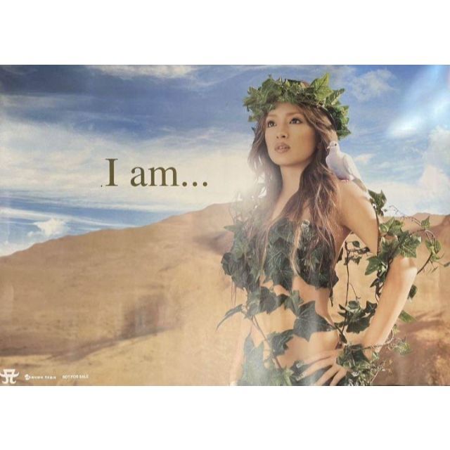 浜崎あゆみ Iam キリン サプリ KIRIN Supli ポスター B2サイズの通販