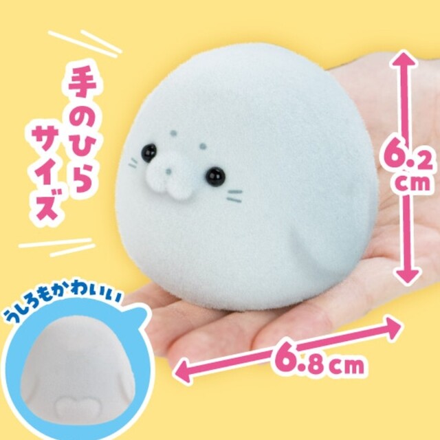 スクイーズ あざらしちゃん 5種類セットの通販 by カーズ｜ラクマ