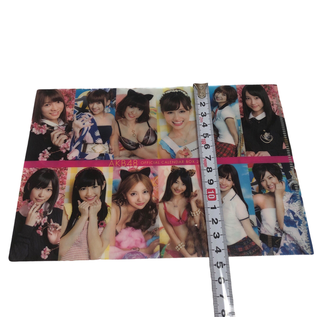 AKB48 - AKB48 オフィシャルカレンダー ボックス 2012 ミニクリア