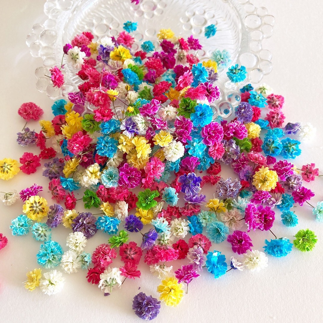 100個〜カラフルmix☆かすみ草☆ドライフラワーの通販 by *⋆｜ラクマ