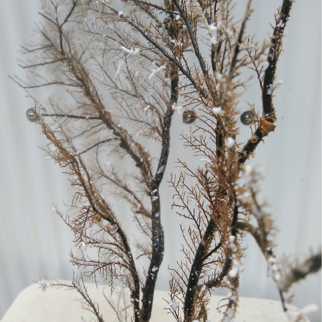 海松珊瑚の通販 by よっくん's shop｜ラクマ