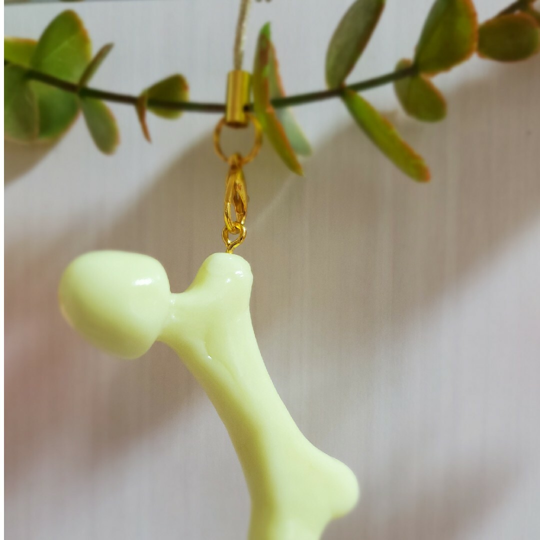 矯正器具 歯 臓器 手作り キーホルダー 看護 オペ 手作りオペ着