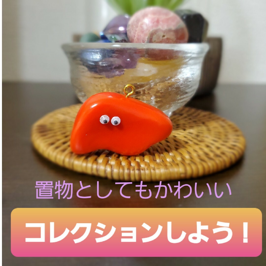 臓器 肝臓 キーホルダー ストラップ 看護 医療 ハンドメイド 手作り