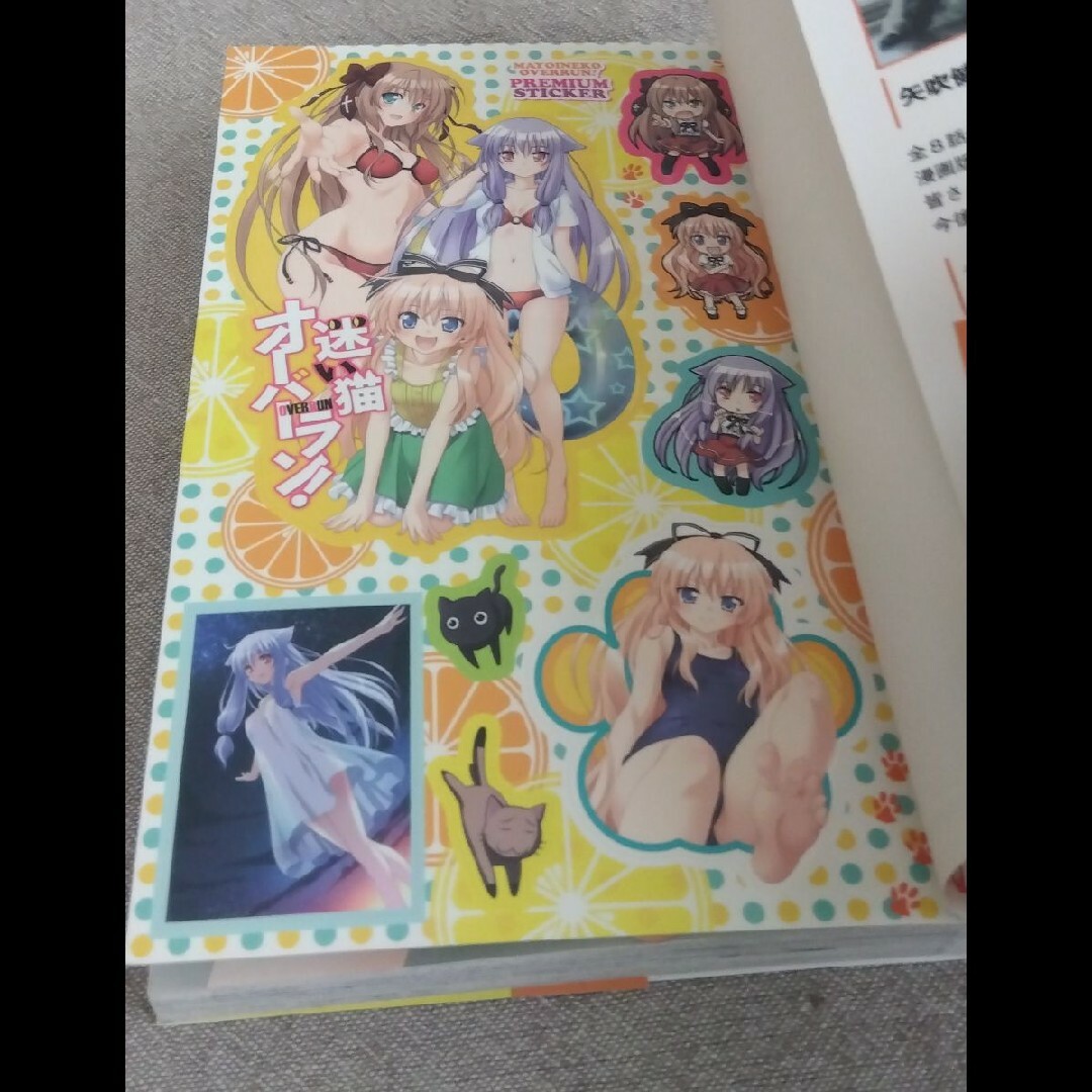 集英社 - 矢吹健太朗 迷い猫オーバーラン 全2巻の通販 by ゆふた's