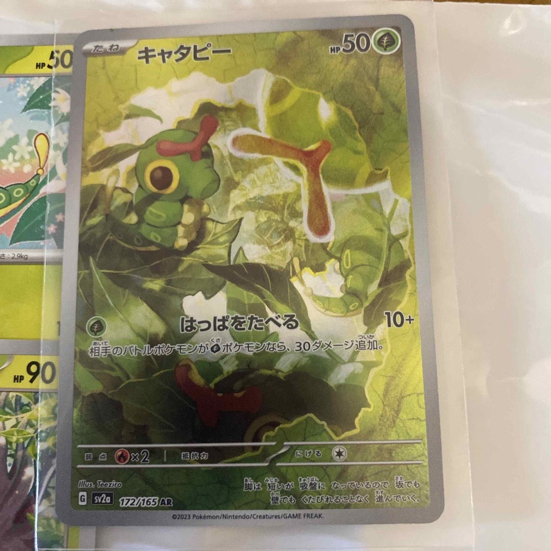 進化ライン キャタピー トランセル バタフリーの通販 by くろはる's