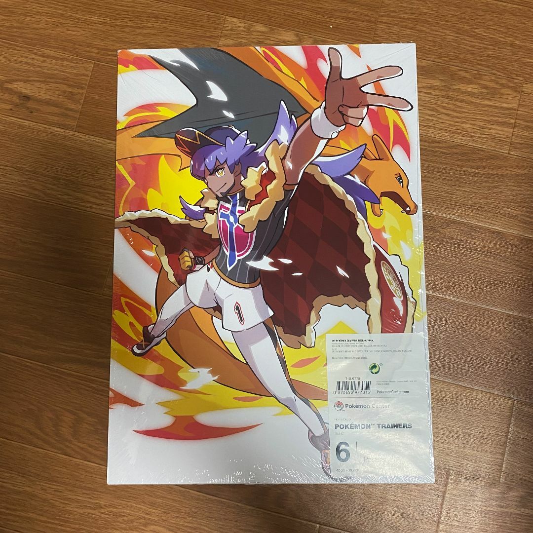 ポケモン - (海外ポケモンセンター限定) トレーナーズ ポスター 6枚組