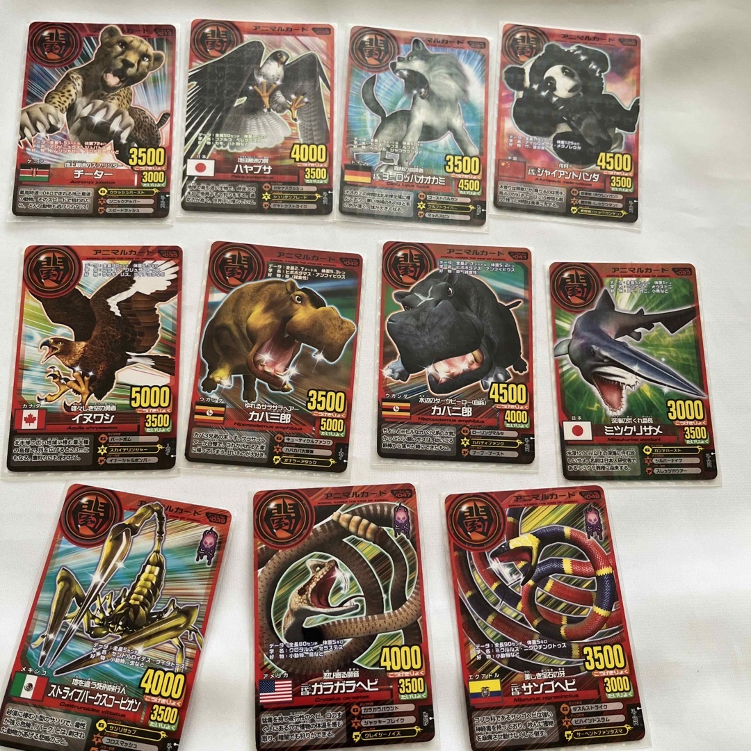 本日価格】 2. アニマルカイザーの通販 by mimi（みぃみぃ）shop｜ラクマ