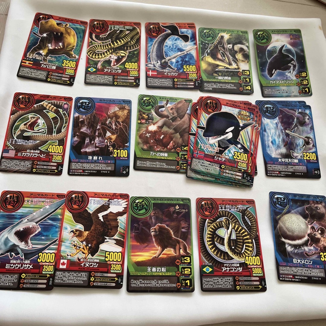 本日価格】 2. アニマルカイザーの通販 by mimi（みぃみぃ）shop｜ラクマ