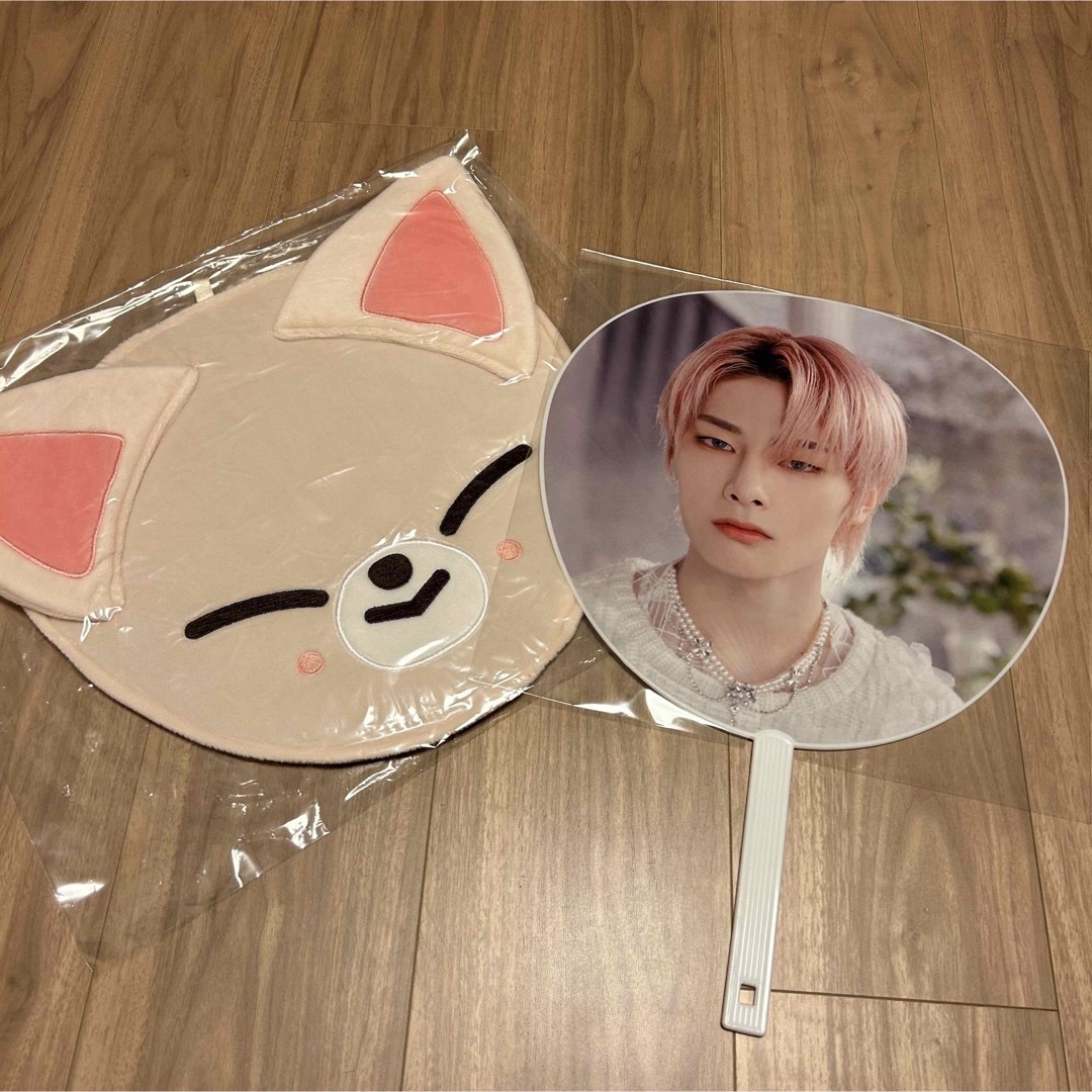 Stray Kids - アイエン⭐️StrayKids MANIAC 初代うちわケース うちわ