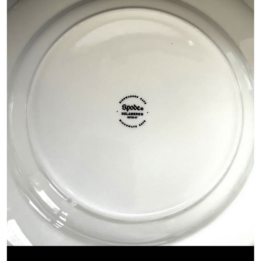 Aynsley China - スポード デラメール DELAMERE ディナープレート 27cm