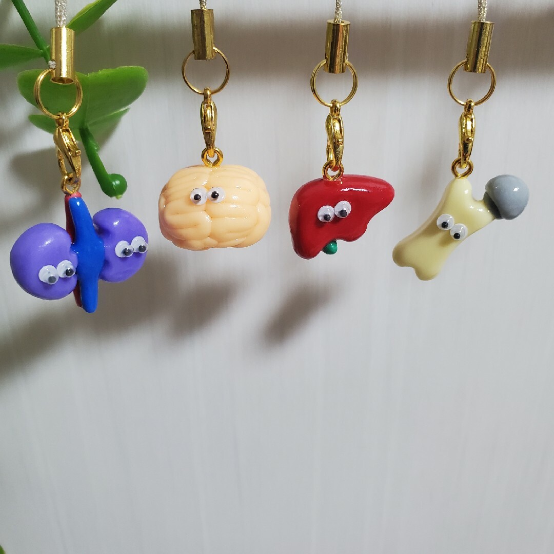 手作り臓器キーホルダー 専用ページの通販 by 夢追い虫の旅｜ラクマ