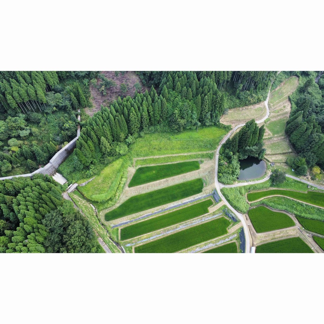 真作】掛軸 加茂敬山『彩色山水』絹本 肉筆 共箱付 掛け軸 購入 g08266