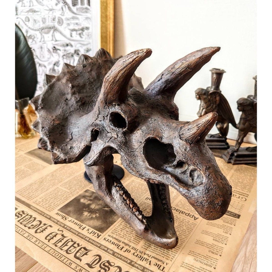 海洋堂 - トリケラトプス インテリア オブジェ 恐竜の化石