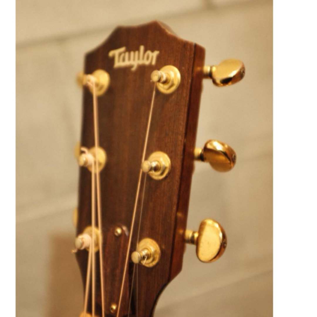 Taylor812 1980年代 オールドテイラー Taylor812 1980年代 オールド