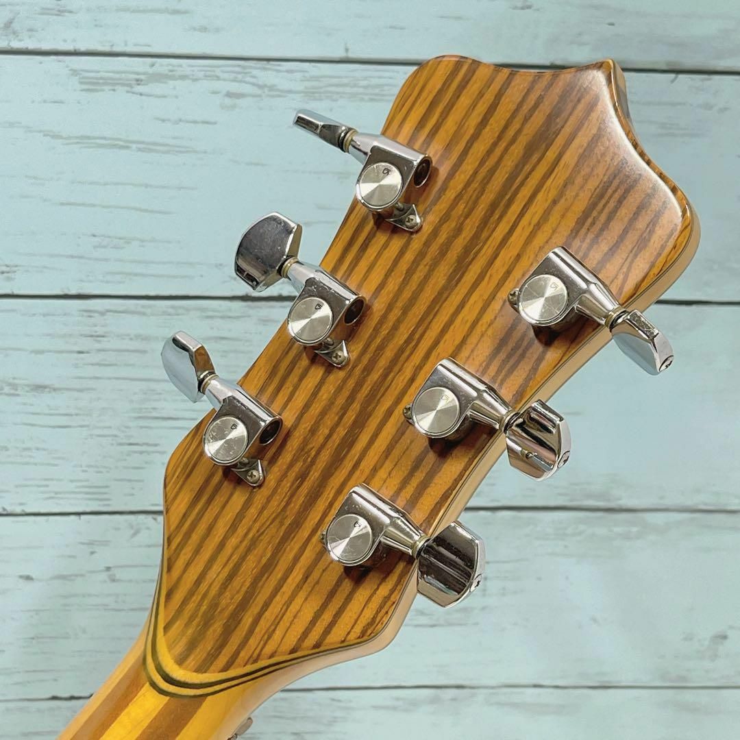 希少！Fernandes FAG-170 アレンビックタイプ アウトレット スルーネック！