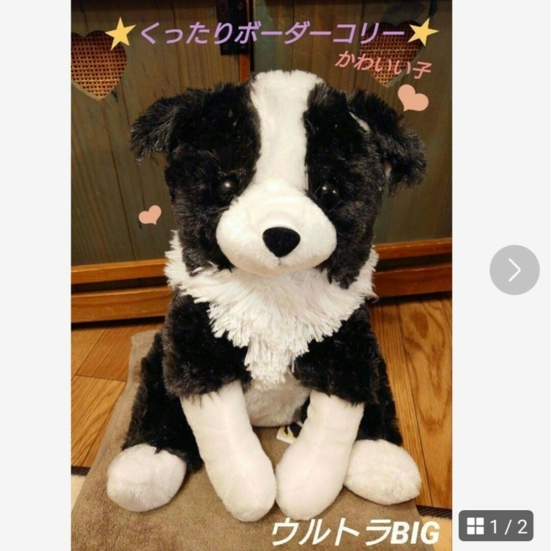 くったりボーダーコリー ☆ネロ☆ ウルトラBIG ≪4月の新商品≫