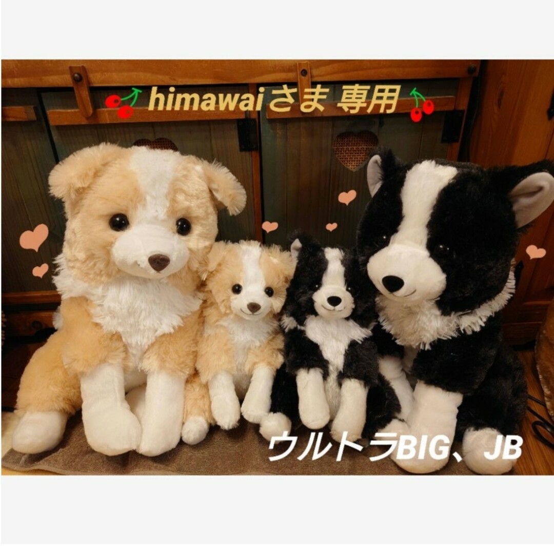 くったりボーダーコリー おりこうさん マロン【専用】 ウルトラBIGの