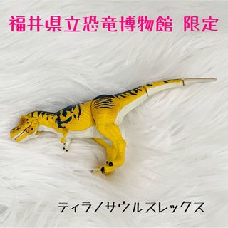 2155366246.jpg?1705905556