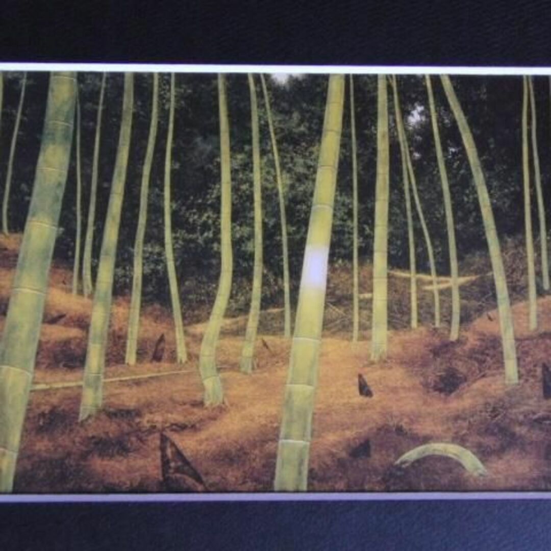 風分六抄、竹姫、希少な画集より、新品高級額、額装付、状態良好の通販