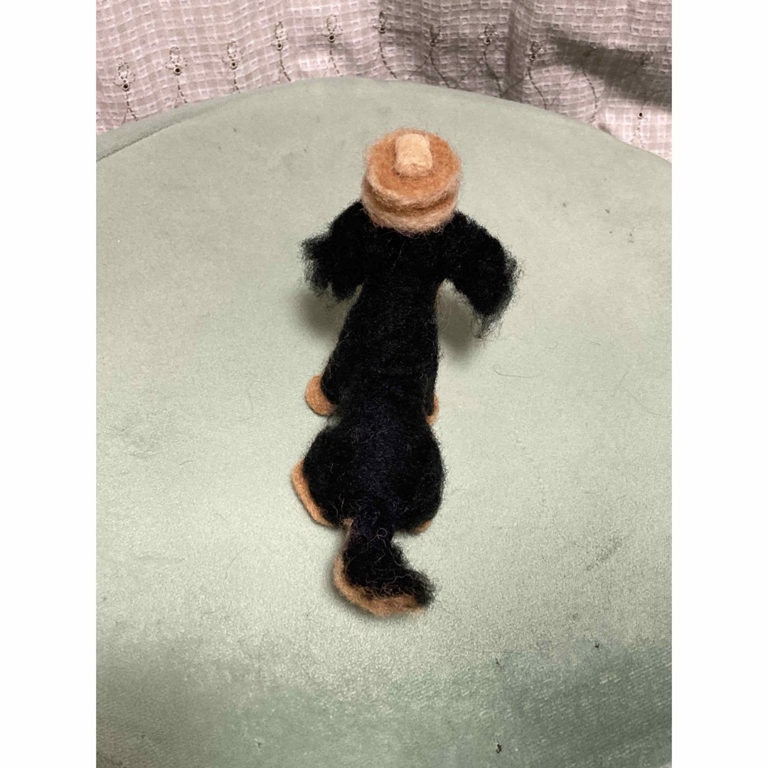 見本 ブラックタンダックスフンド ミニチュアダックスフンド 羊毛