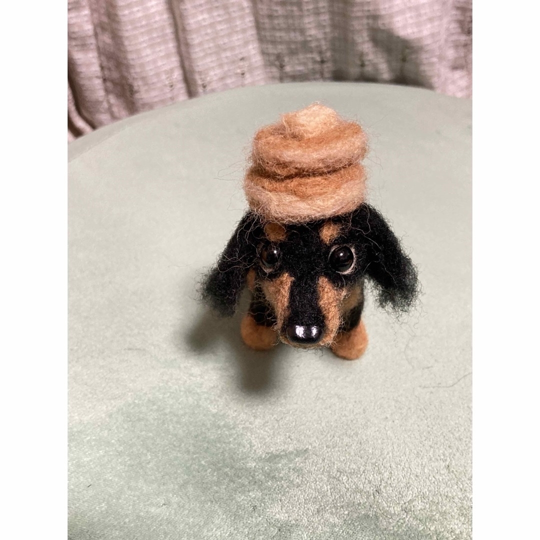 見本 ブラックタンダックスフンド ミニチュアダックスフンド 羊毛