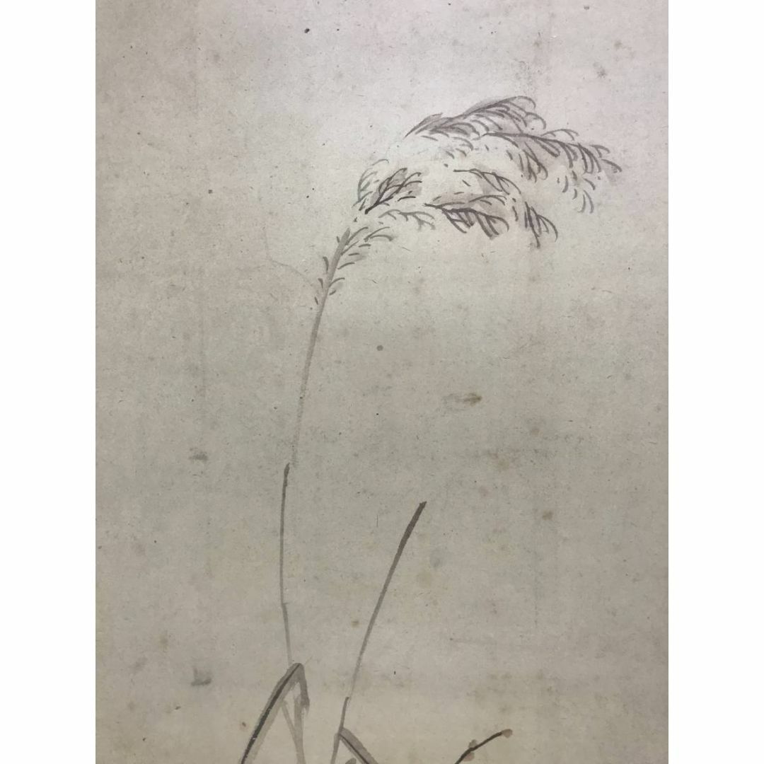 真作/池田九華/石川県出身/雪中芦に鴛鴦図/花鳥図/掛軸☆宝船☆AD-635