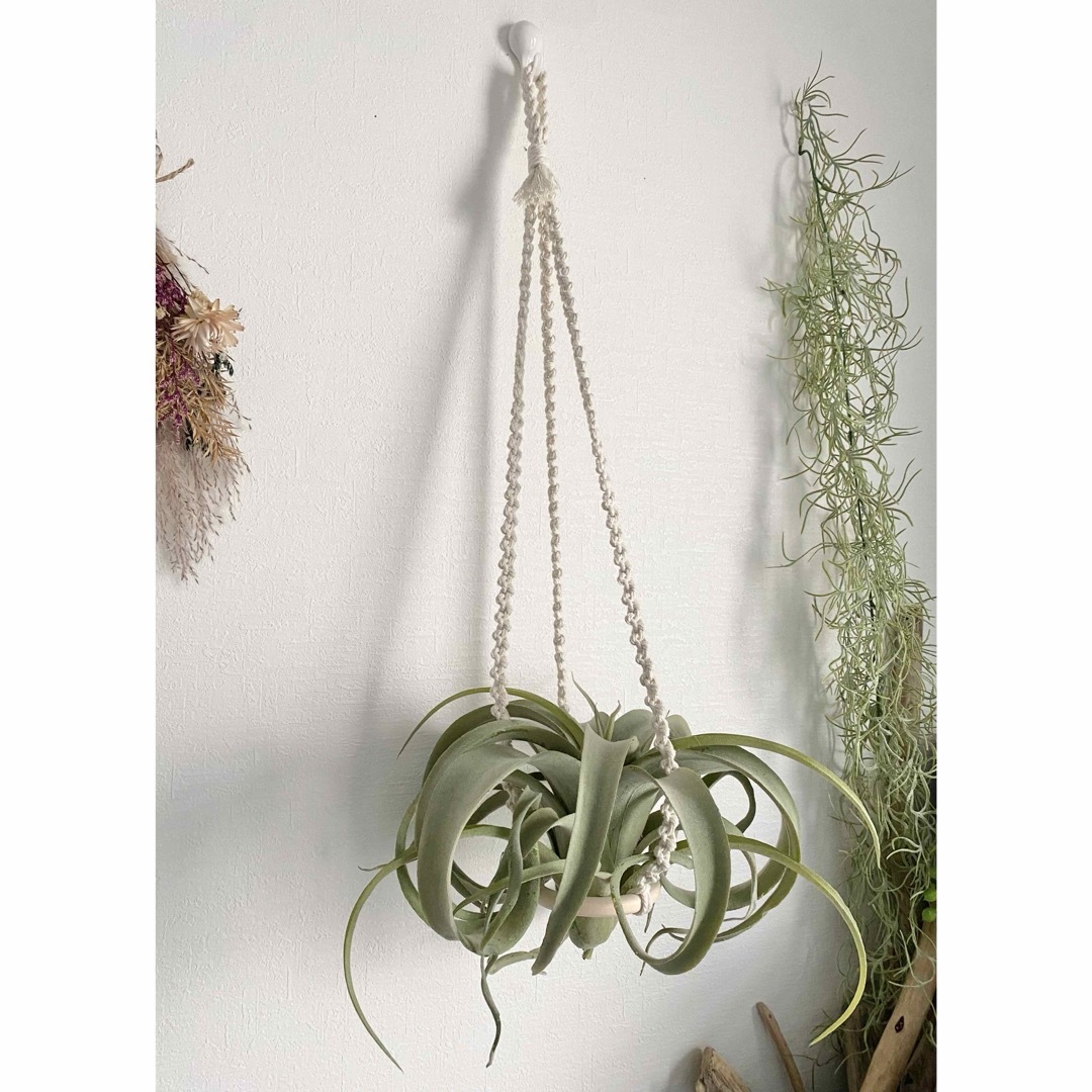 キセログラフィカ用☆ウッドリングマクラメハンガーの通販 by