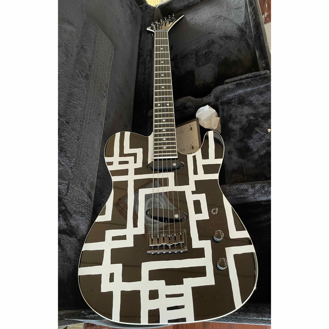 Fernandes - TE-320HT 布袋寅泰 HOTEl BOOWY フェルナンデス TEJの通販