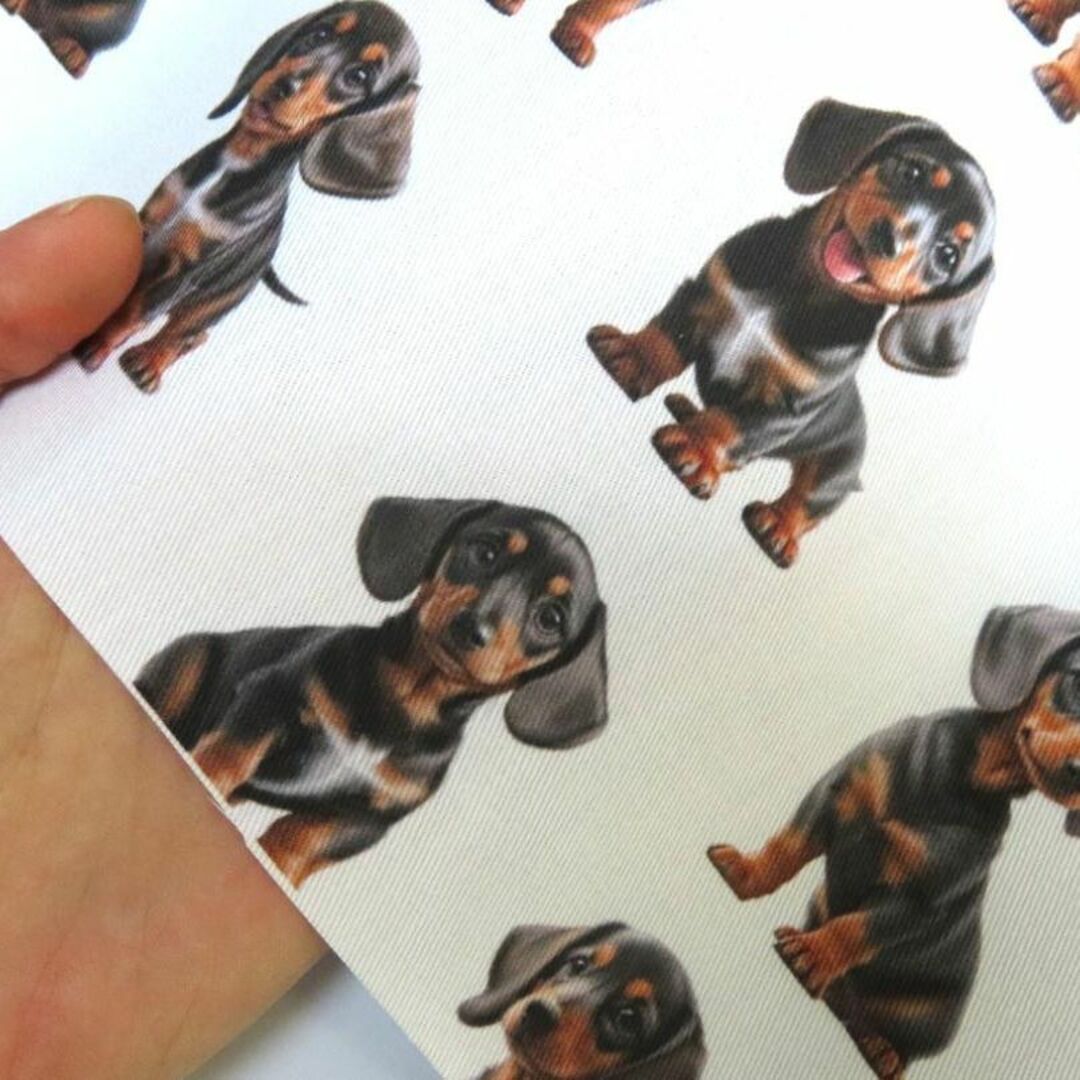 ゆきちゃん限定】X1563-1 ミニチュアダックスフンド 白 布 生地 1mの