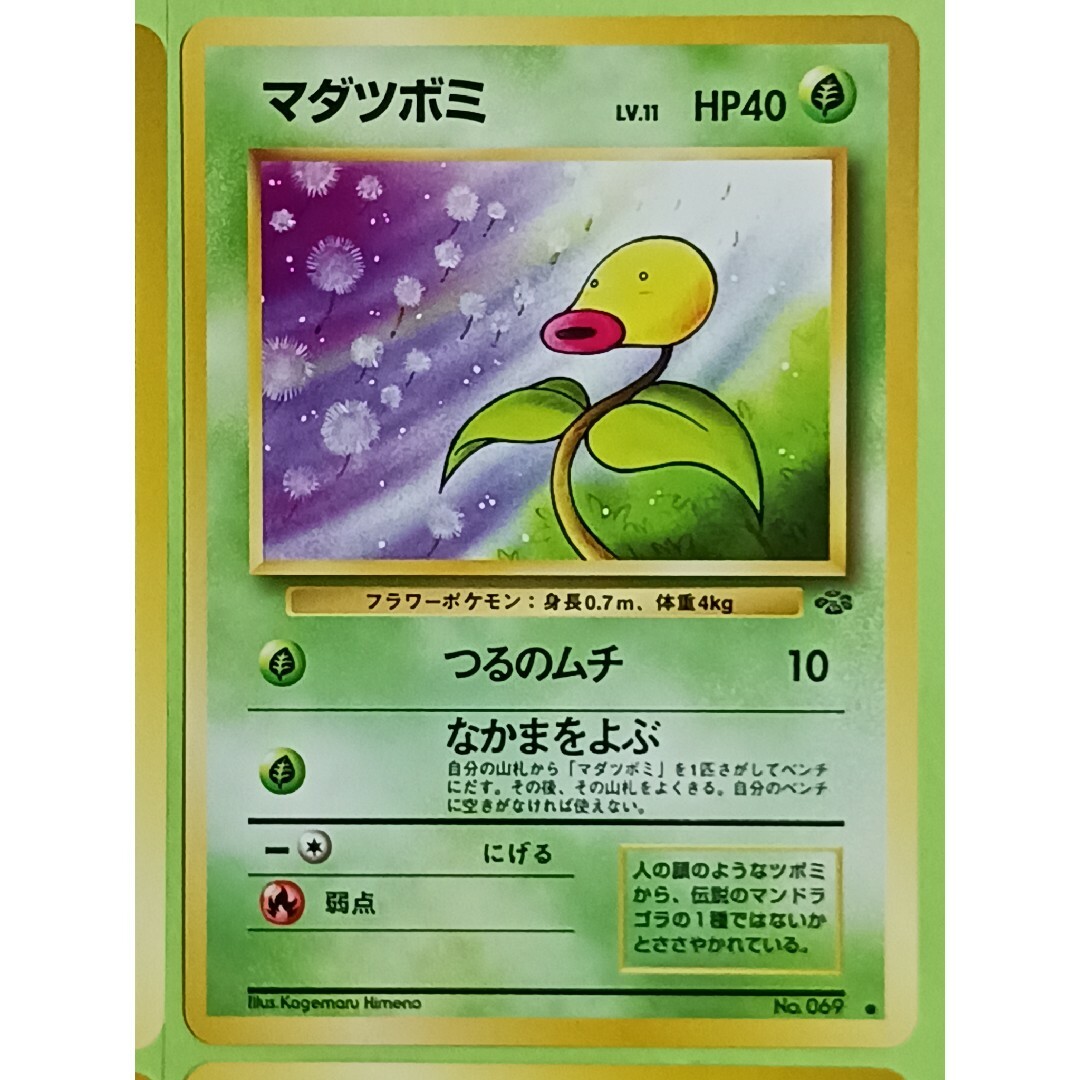 ポケモン - ポケカ マダツボミ ジャングル 旧裏 4枚セットの通販 by