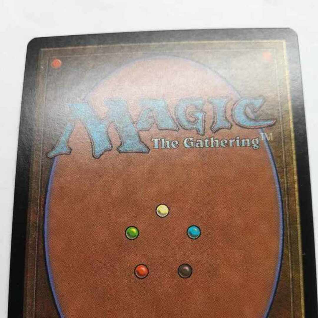 マジック：ザ・ギャザリング - MTG APACランド 5枚セット ひまわり平地