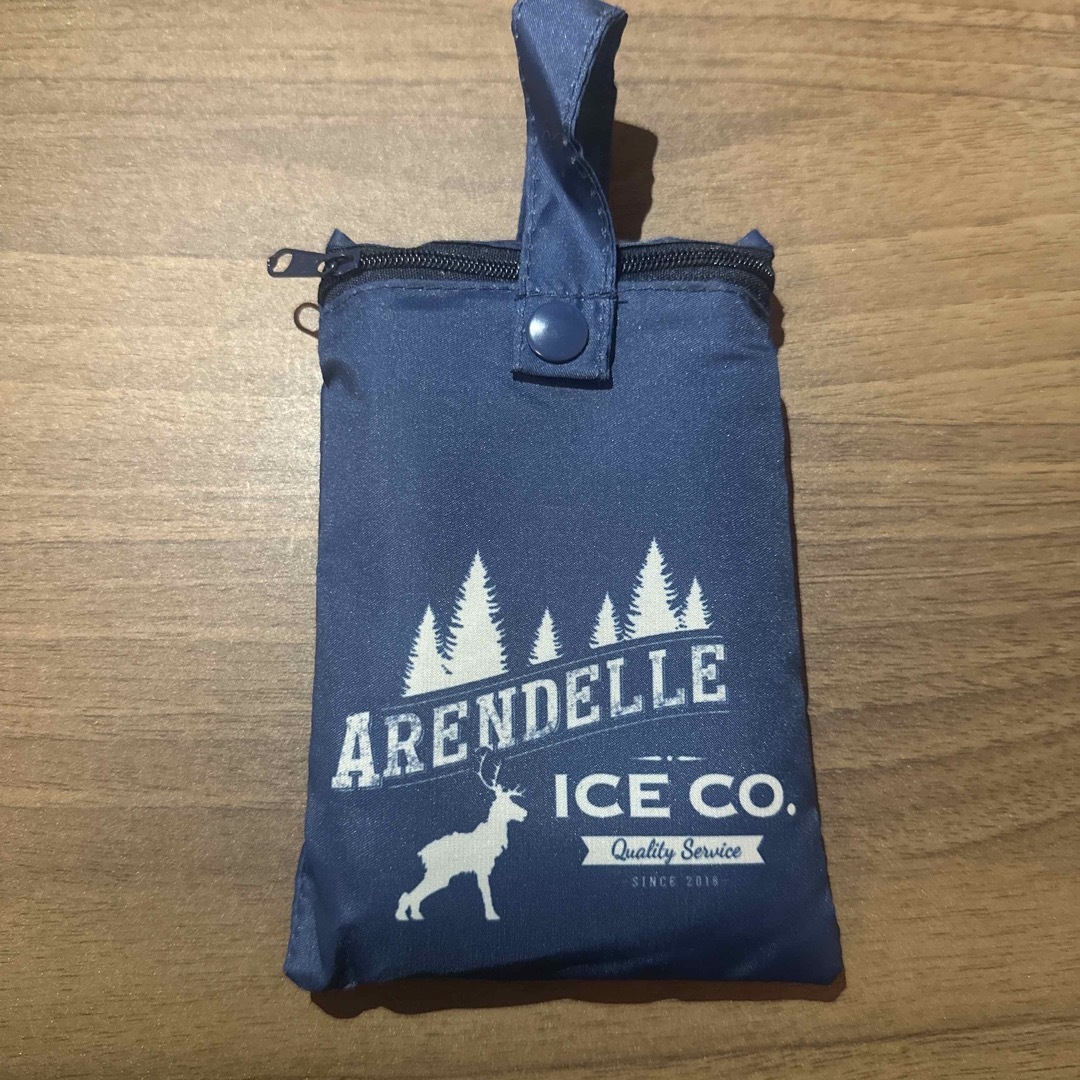 アナと雪の女王 - アナと雪の女王 エコバッグ 劇団四季の通販 by なお