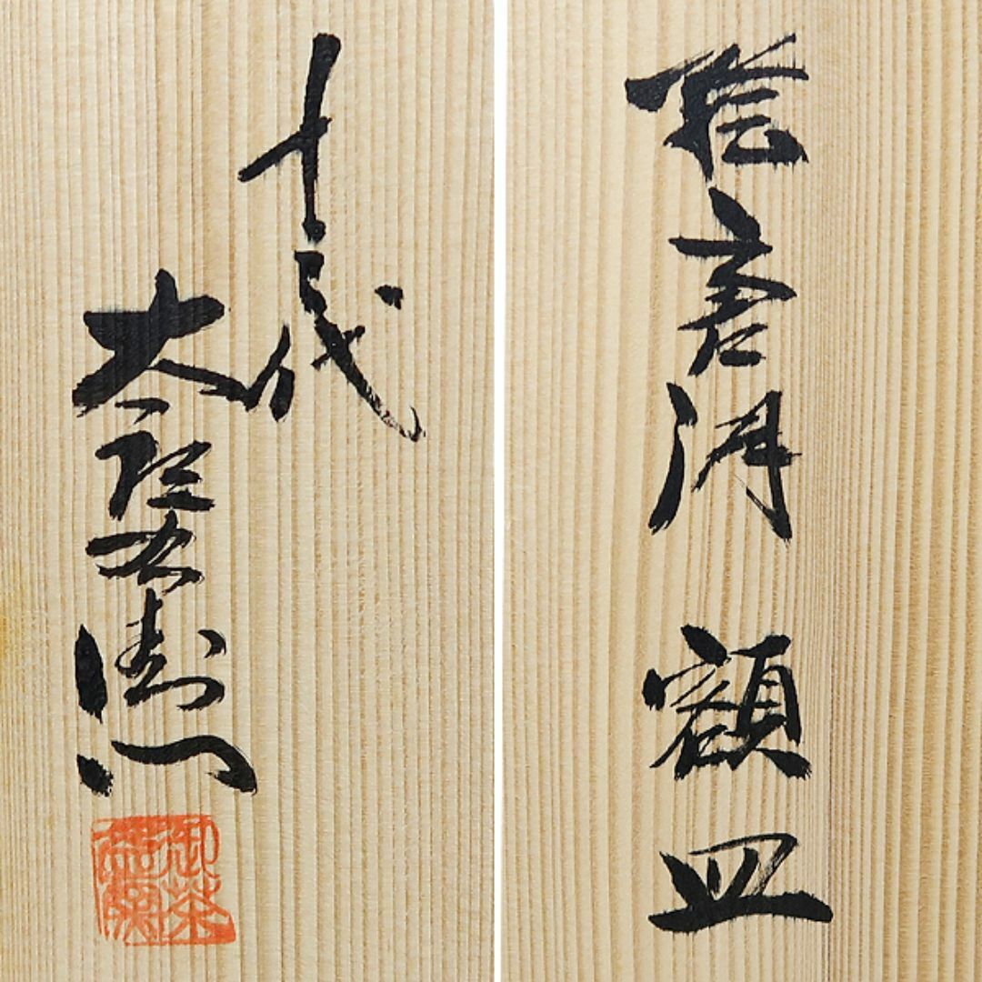 未使用 唐津焼 十三代 中里太郎右衛門 絵唐津 額皿 24.5 箱付 太郎右