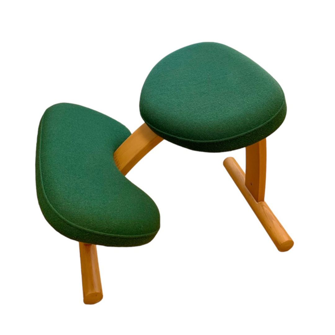 オドリドリex【SAR】,パンクメット【SR】