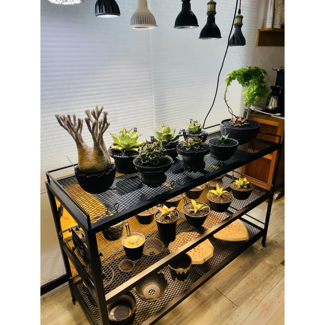 ☆送料込み☆アイアンシェルフ即購入OK 植物棚 ボタニカルシェルフ