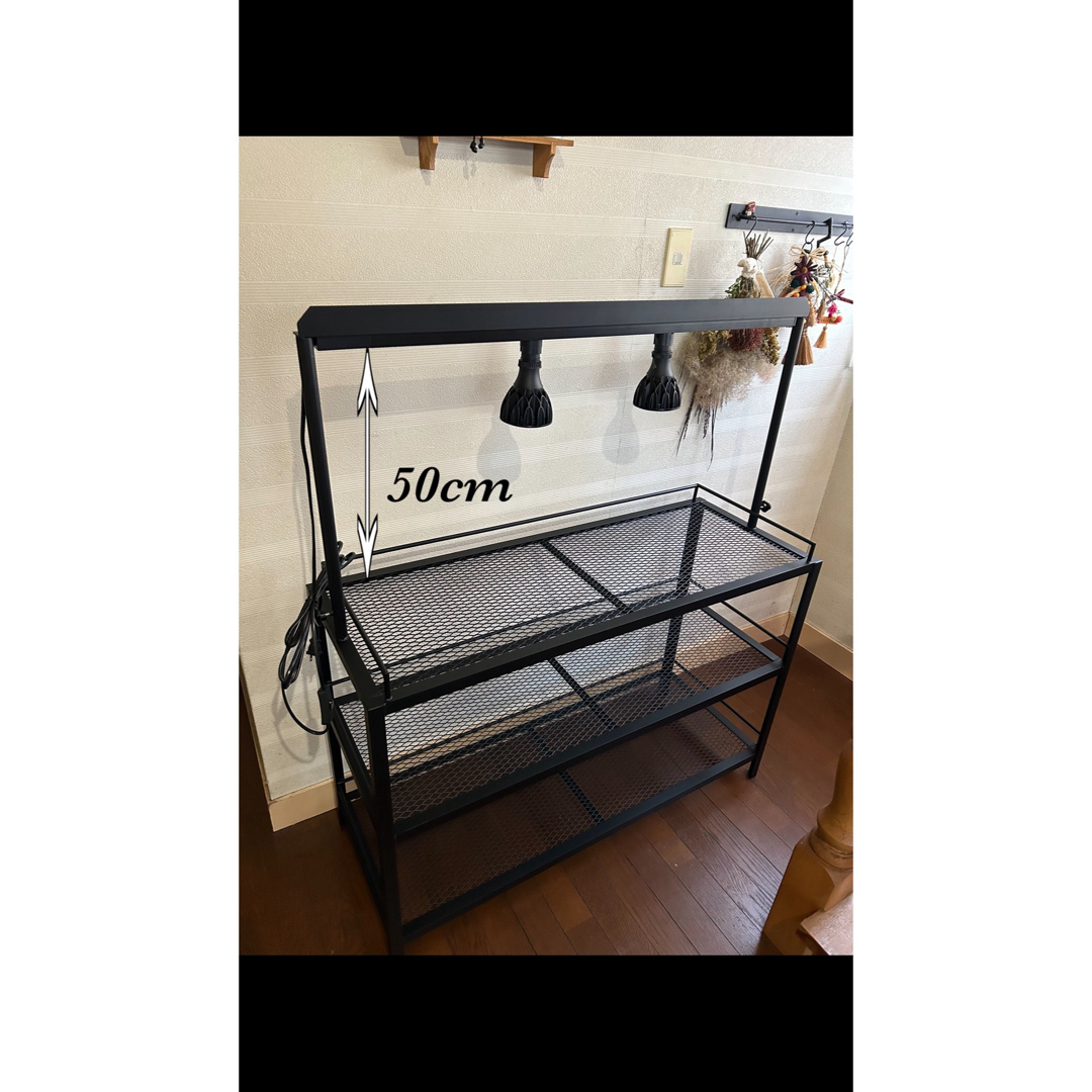 ☆送料込み☆アイアンシェルフ ライトレール付 植物棚 ボタニカル