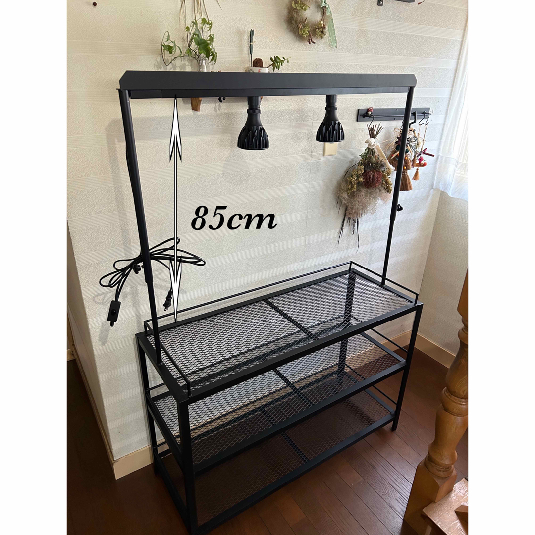 ☆送料込み☆アイアンシェルフ ライトレール付 植物棚 ボタニカル