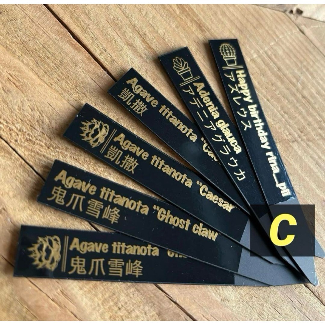 10本 プランツタグ 金文字 園芸タグ 園芸ラベル ドライガーデン