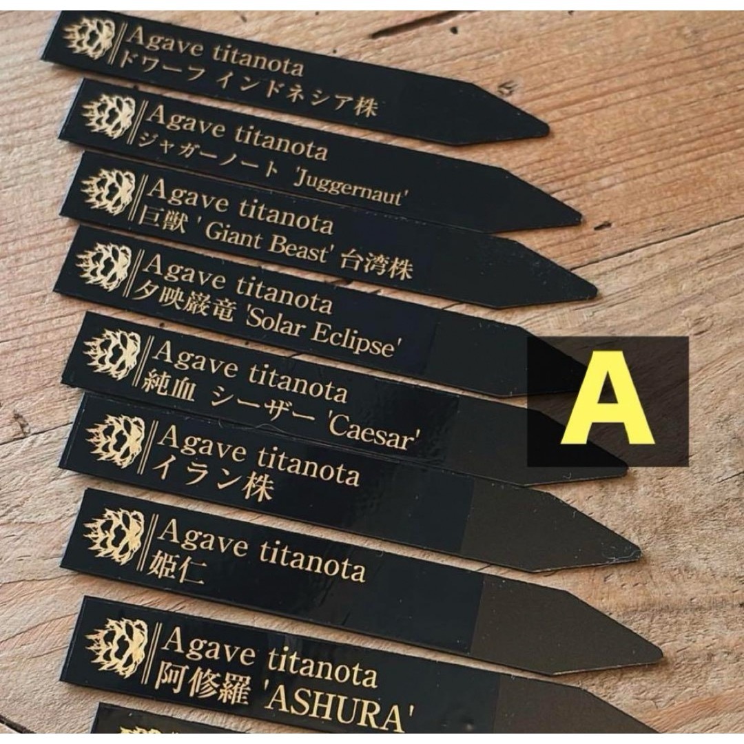 10本 プランツタグ 金文字 園芸タグ 園芸ラベル ドライガーデン