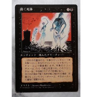 2339206398.jpg?1722954945