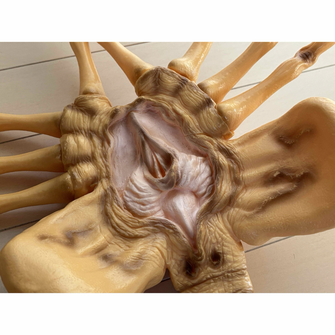 AOSHIMA - ALIEN/フェイスハガー/フィギュア/エイリアン/原寸/ソフビ