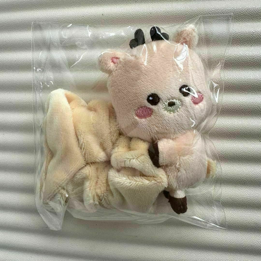 ソンチャン RIIZE シュシュ ソウルコン ライズ ファンコンの通販 by N