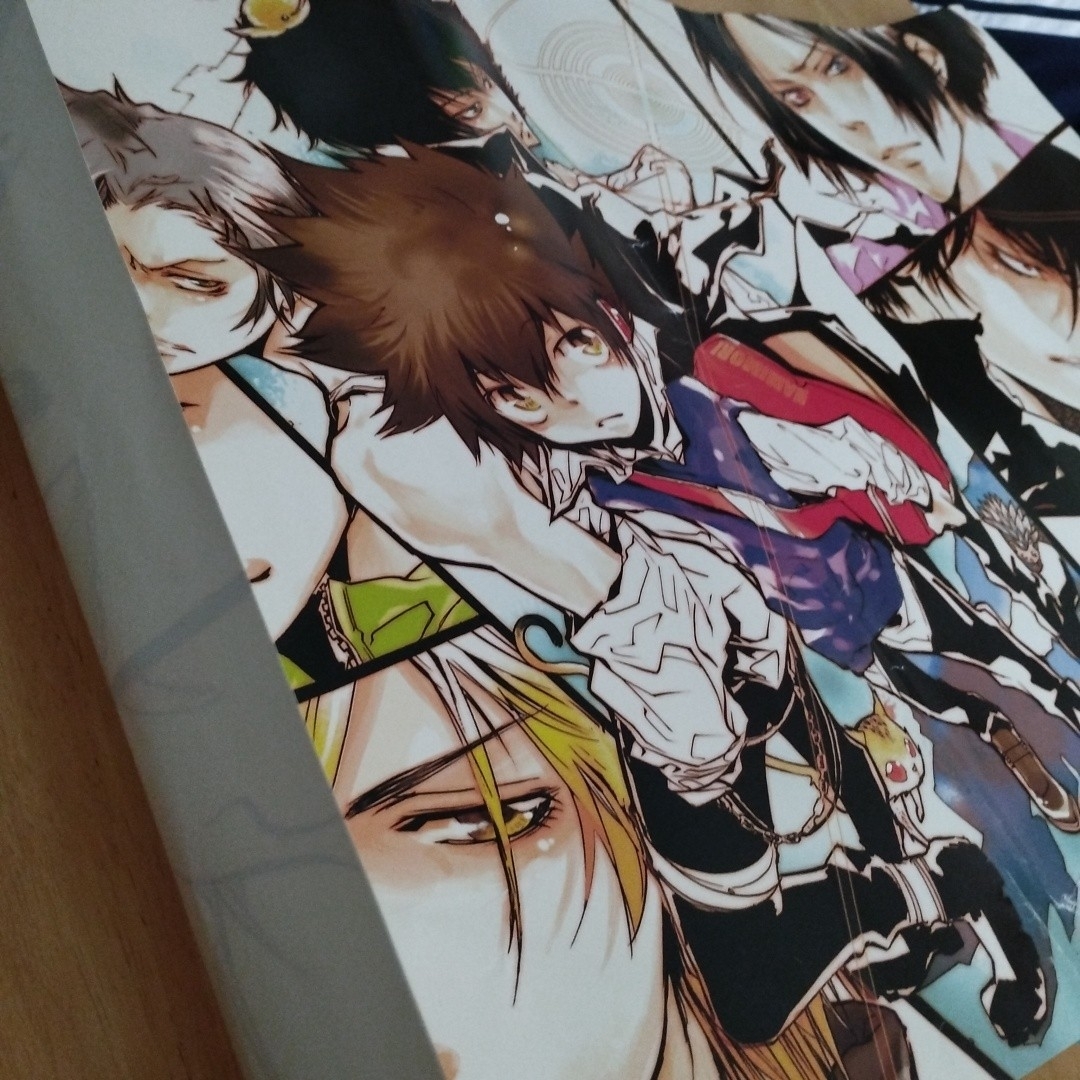 家庭教師ヒットマンREBORN!ポスター2枚の通販 by ふるべるフリマ｜ラクマ