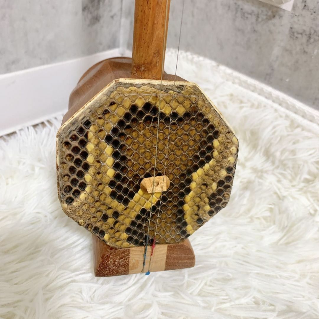 高級 二胡 龍頭 竜頭 弦楽器 民族楽器 ケース付属 蛇革 天然素材