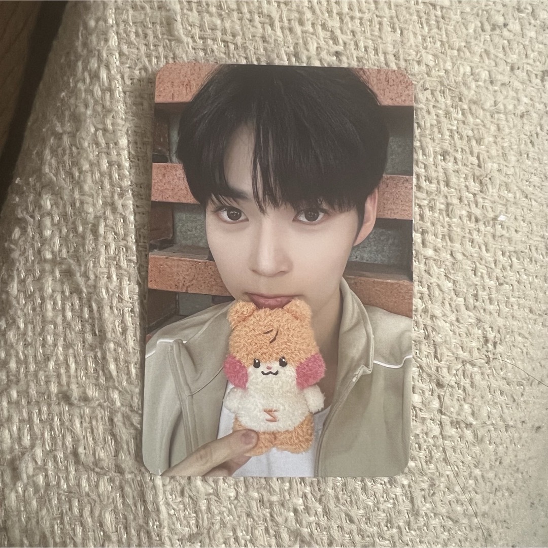 ZEROBASEONE - ソンハンビン zeroni ゼロニ binini ZB1 ゼベワン