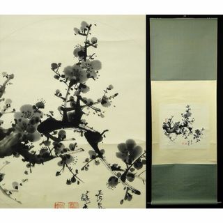 掛軸 中国現代画家 胡暁宏『梅図』中国画 紙本 肉筆 掛け軸 w061111の