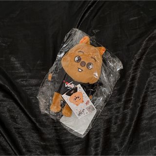 Stray Kids - straykids スキズ skzoo ハン ハンクォッカ ぬいぐるみ