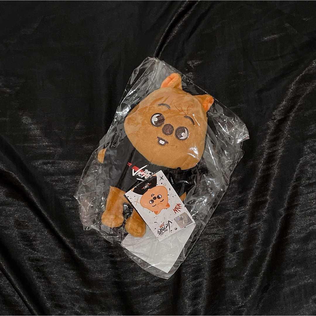 Stray Kids - straykids スキズ skzoo ハン ハンクォッカ ぬいぐるみ