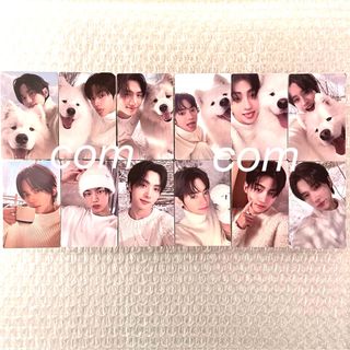 2453035530.jpg?1733804778