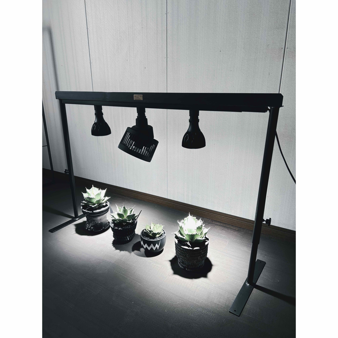 ☆送料込み☆ライトレールスタンド即購入OK 植物育成 アガベ 塊根 什器
